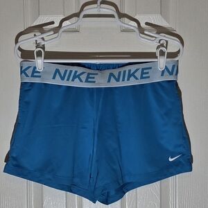 Nike Teal Blue Performance Shorts